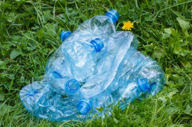 Plastik şişe maden suyu Park, çimlerin üzerine çevre çöp