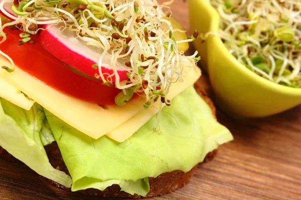 Sanduíche vegetariano e tigela com brotos de alfafa e rabanete — Fotografia de Stock