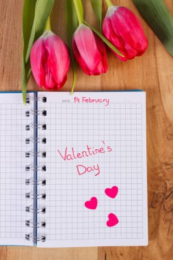 Sevgililer günü yazılı defter, taze laleler ve kalpleri, Sevgililer için dekorasyon
