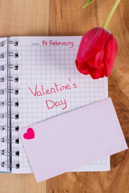 Sevgililer günü defter, taze lale, aşk mektubu ve kalp, dekorasyon Sevgililer için yazılmış
