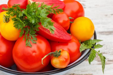 Domates yeşil yaprakları ve güneşli Bahçe metal kapta maydanoz ile