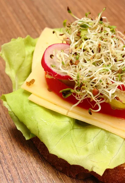 Χορτοφαγικό σάντουιτς με τα λάχανα αλφάλφα και ραπανάκι — Φωτογραφία Αρχείου