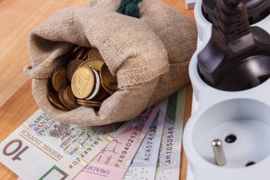 Elektrik güç uzatma kablosuna bağlı Tak ve Polonya para birimi para, enerji maliyetleri ile