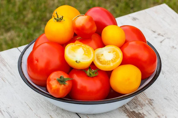 Tomater i metall skål i trädgården på solig dag — Stockfoto