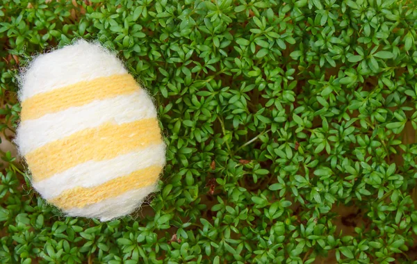Easter eggs wrapped woolen string and green cress, copy space for text, decoration for Easter — Stock Photo, Image