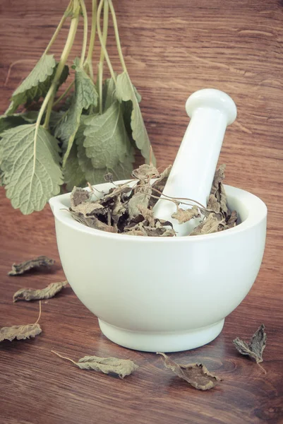 Foto antik, Balsem lemon hijau dan kering segar dalam mortir, herbalisme, pengobatan alternatif — Stok Foto