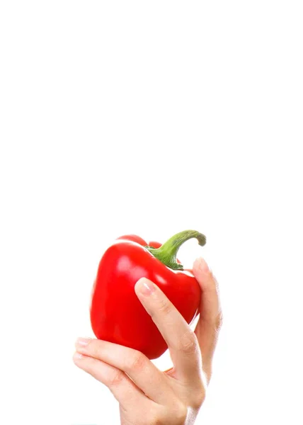 Hand of woman holding in hand fresh peppers, copy space for text on white background — Stock Photo, Image