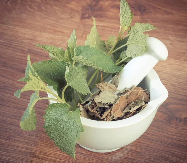 Foto antik, Balsem lemon hijau dan kering segar dalam mortir, herbalisme, pengobatan alternatif — Stok Foto