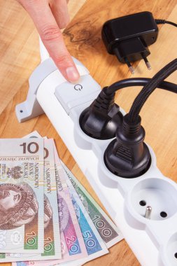 Elektrik güç uzatma kablosuna bağlı Tak ve Polonya para birimi para, enerji maliyetleri ile