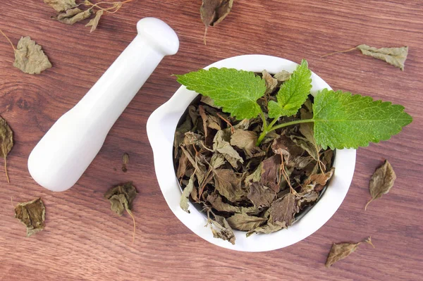 Green and dried lemon balm with mortar, concept of herbalism and alternative medicine — Stock Photo, Image