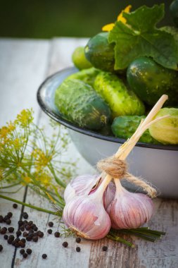 Kase ve bahçe salatalık dekapaj baharatlar taze salatalık