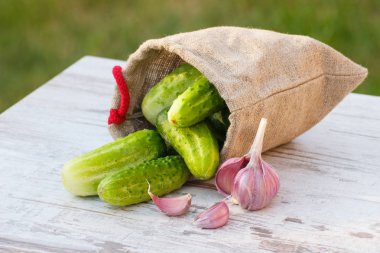Jüt çanta ve sarımsak güneşli Bahçe tablo taze salatalık