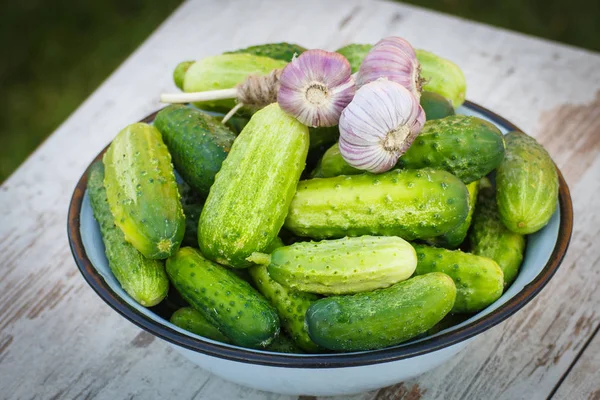 Färsk gurka och vitlök i skål i trädgården på soliga dag — Stockfoto