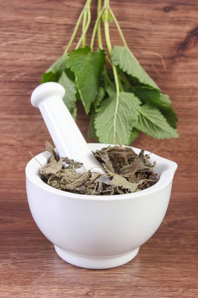 Fresh green and dried lemon balm in mortar, concept of herbalism and alternative medicine — Stock Photo, Image