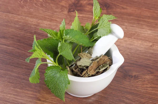 Fresh green and dried lemon balm in white glass mortar, concept of herbalism or alternative medicine — Stock Photo, Image