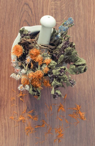 Vintage Fotoğraf, kuru ot ve çiçek beyaz harç, herbalism, Dekorasyon — Stok fotoğraf