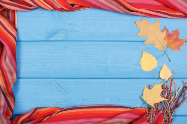 Şal için kadın ve mavi panoları için sonbahar ya da kış giyim, yapraklarda çerçevesinde