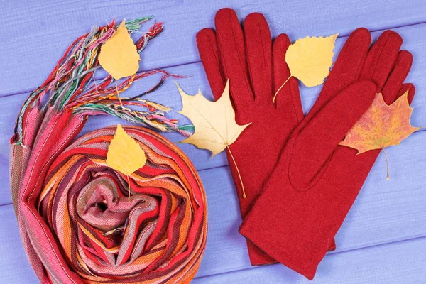 Herbstblätter mit Handschuhen und Schal für die Frau, Frauenkleidung für den Herbst oder Winter — Stockfoto