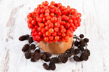 Eski rustik ahşap arka plan üzerinde kırmızı sonbahar rowan ve kızılağaç koni demet