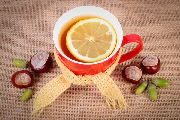 Té caliente con bufanda de lana envuelta en limón, concepto de decoración otoñal — Foto de Stock