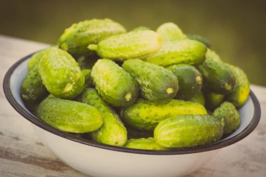 Vintage Fotoğraf, kabın içinde güneşli bahçe salatalık