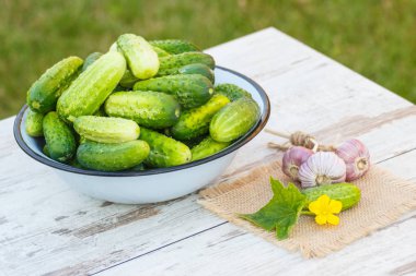 Salatalık kase ve güneşli Bahçe Sarımsak