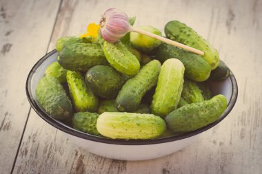 Vintage Fotoğraf, kabın içinde güneşli bahçe salatalık