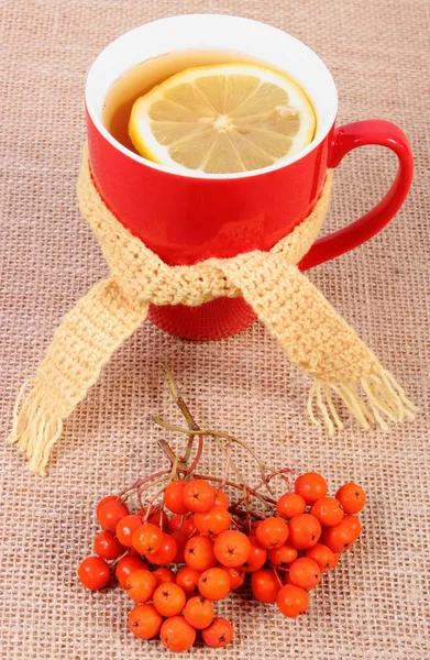 Taza de té caliente con bufanda de lana envuelta en limón, decoración de otoño en barlap de yute — Foto de Stock