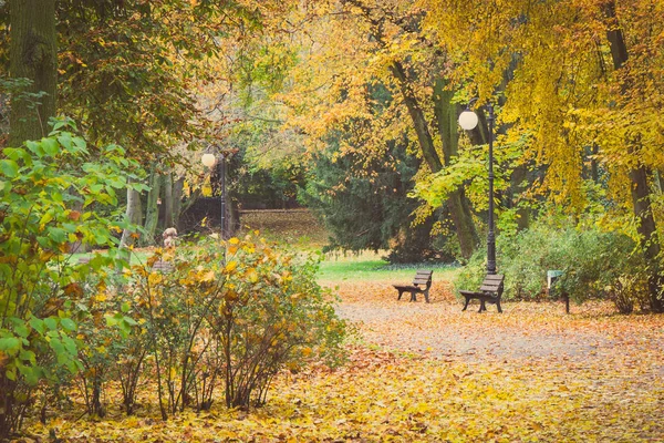 Photo vintage, Sentier pédestre ou sentier avec banc pour se détendre dans le parc automnal — Photo