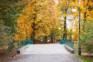 Patika ve sonbahar Park, köprü ağaçlar Sarı ve turuncu yaprak ile