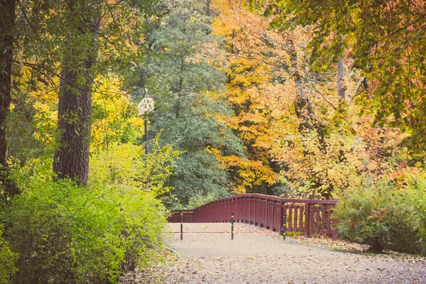 Photo vintage, Sentier pédestre et pont dans le parc automnal, arbres aux feuilles dorées — Photo