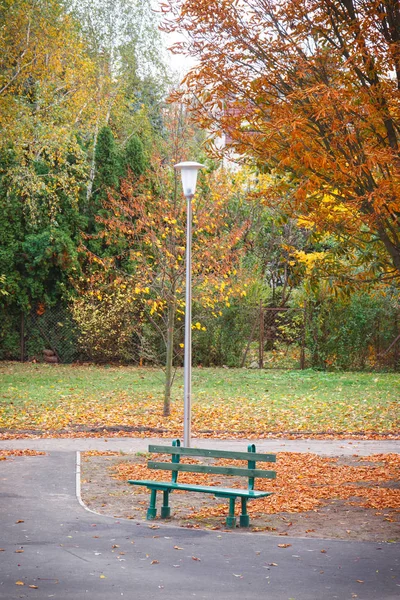 Träd med orange blad och bänk i höstlig park — Stockfoto