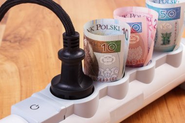 Polonya para birimi para elektrik güç şerit bağlı fiş ile rulo