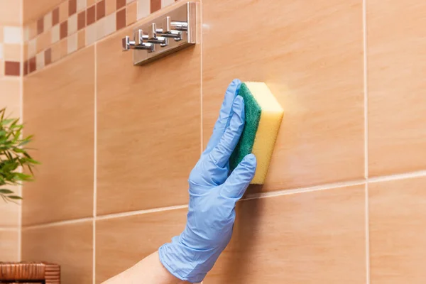 Hand of senior woman wiping bathroom tiles using sponge, household duties concept