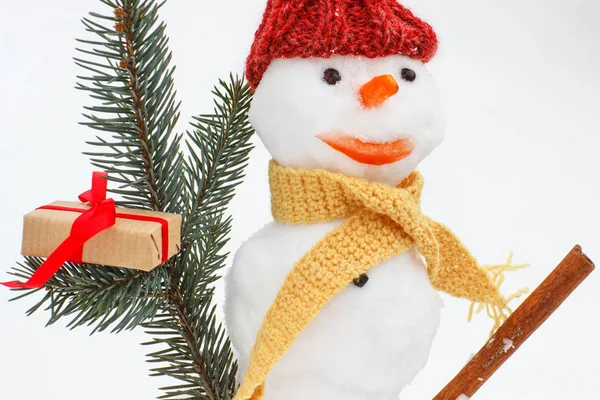 Kardan adam çam dalları ve Noel ya da diğer kutlama için hediye ile dekore edilmiş