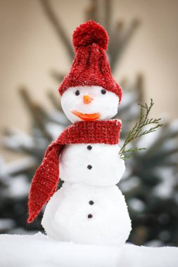 Yün, İpek eşarp ve iğne yapraklı ağaç arka plan üzerinde kap ile kardan adam