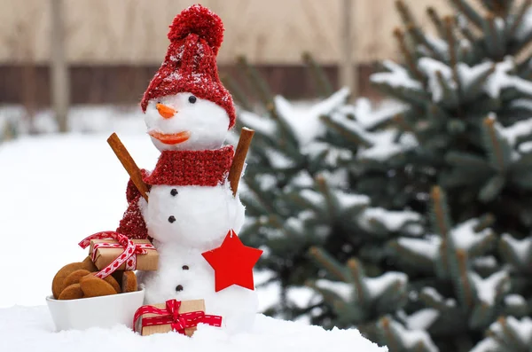 Snögubbe med gåva till jul eller Valentine och pepparkakor — Stockfoto