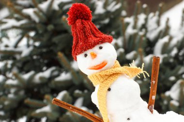 Yün, İpek eşarp ve iğne yapraklı ağaç arka plan üzerinde kap ile kardan adam