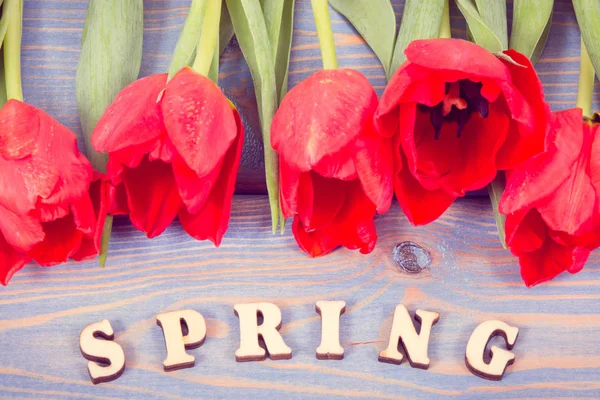 Vintage foto, Word primavera com tulipas frescas em placas azuis — Fotografia de Stock