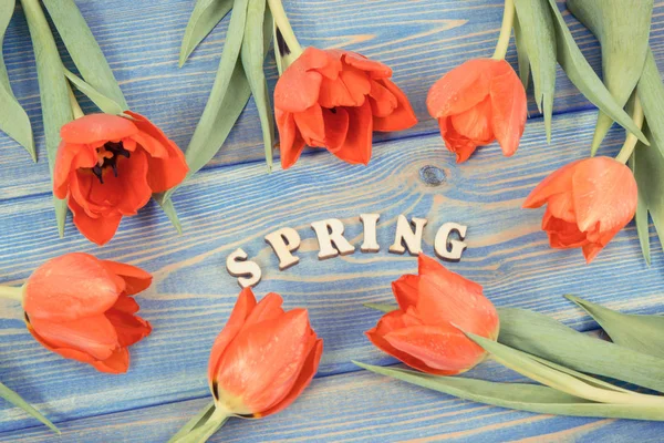 Jahrgangsfoto, rote Tulpen für verschiedene Anlässe und Schriftzug Frühling auf blauen Tafeln — Stockfoto