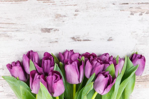 Bouquet of purple tulips for different occasions on white boards — Stock Photo, Image