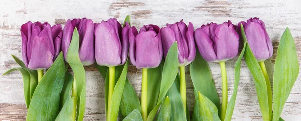 Bouquet of purple tulips for different occasions on boards — Stock Photo, Image