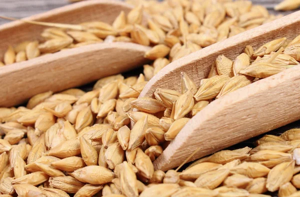 Heap av korn korn korn med sked på gamla träskiva — Stockfoto
