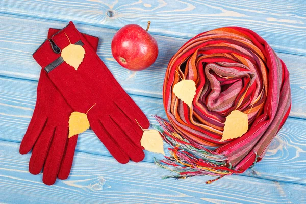 Herbstliche Dekoration, Wollhandschuhe und Schal für Frau, Kleidung für Herbst oder Winter — Stockfoto