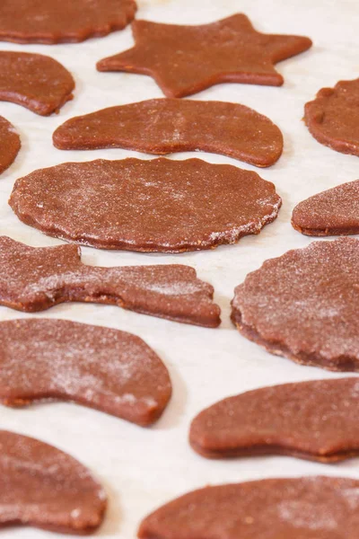 Masa para hornear y preparar galletas de Navidad o pan de jengibre — Foto de Stock