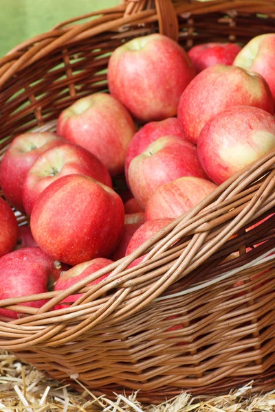 Fresh ripe apples in wicker basket on stall at bazaar — Stock Photo, Image