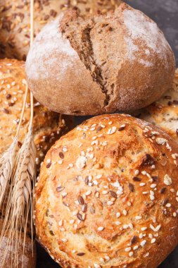 Tohum ve çavdar ya da buğday taneli taze fırınlanmış rulo.