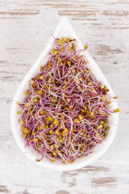 Beyaz kasede taze sağlıklı, besleyici lahana filizleri. Doğal vitamin ve mineral içeren yiyecekler.