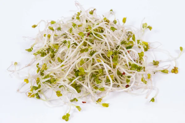 Fresh Healthy Nutritious Alfalfa Sprouts White Background Food Containing Natural — Stock Photo, Image
