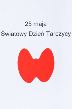 Kağıttan yapılmış kırmızı tiroid şekli ve 25 Mayıs Dünya Tiroid Günü. Tiroid konseptiyle ilgili sorunlar. Beyaz arkaplan